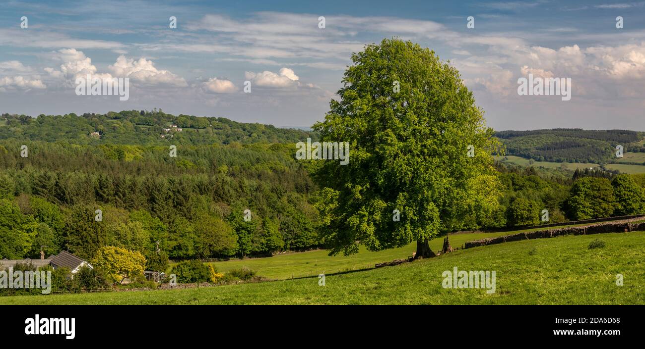 Monmouthshire, mit Blick auf das Wye Valley. Stockfoto