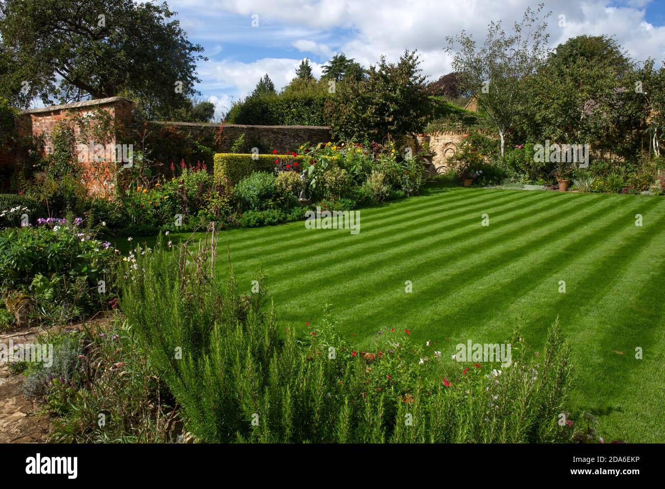 Englischer Garten mit gestreiftem Rasen und Sommerboardern, England, Europa Stockfoto