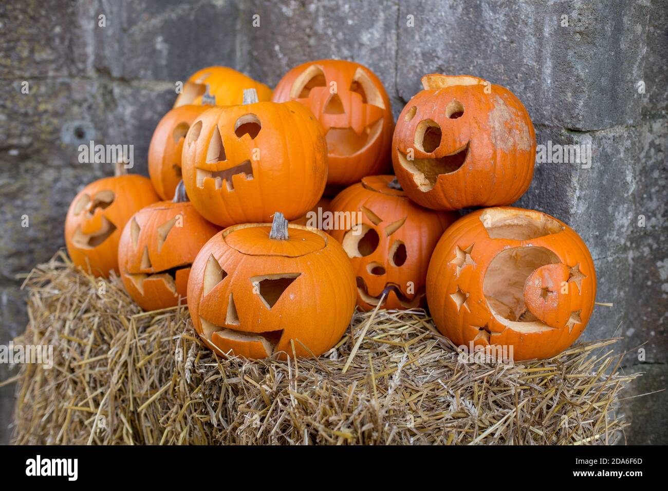 Geschnitzte Kürbisse sitzen auf einem Strohballen am Tor bereit für Halloween im Corfe Castle in Dorset. Die Burg Corfe ist eine Festung, die über dem gleichnamigen Dorf auf der Halbinsel Purbeck im englischen Landkreis Dorset steht. Erbaut von Wilhelm dem Eroberer, stammt die Burg aus dem 11. Jahrhundert und befiehlt eine Lücke in den Purbeck Hills auf der Route zwischen Wareham und Swanage. Die erste Phase war eine der frühesten Burgen Englands, die zumindest teilweise aus Stein gebaut wurde, als die meisten mit Erde und Holz gebaut wurden. Corfe Castle erfuhr große strukturelle Veränderungen in der Stockfoto