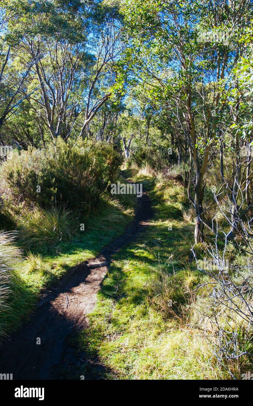 Thredo Valley Track in New South Wales Australien Stockfoto