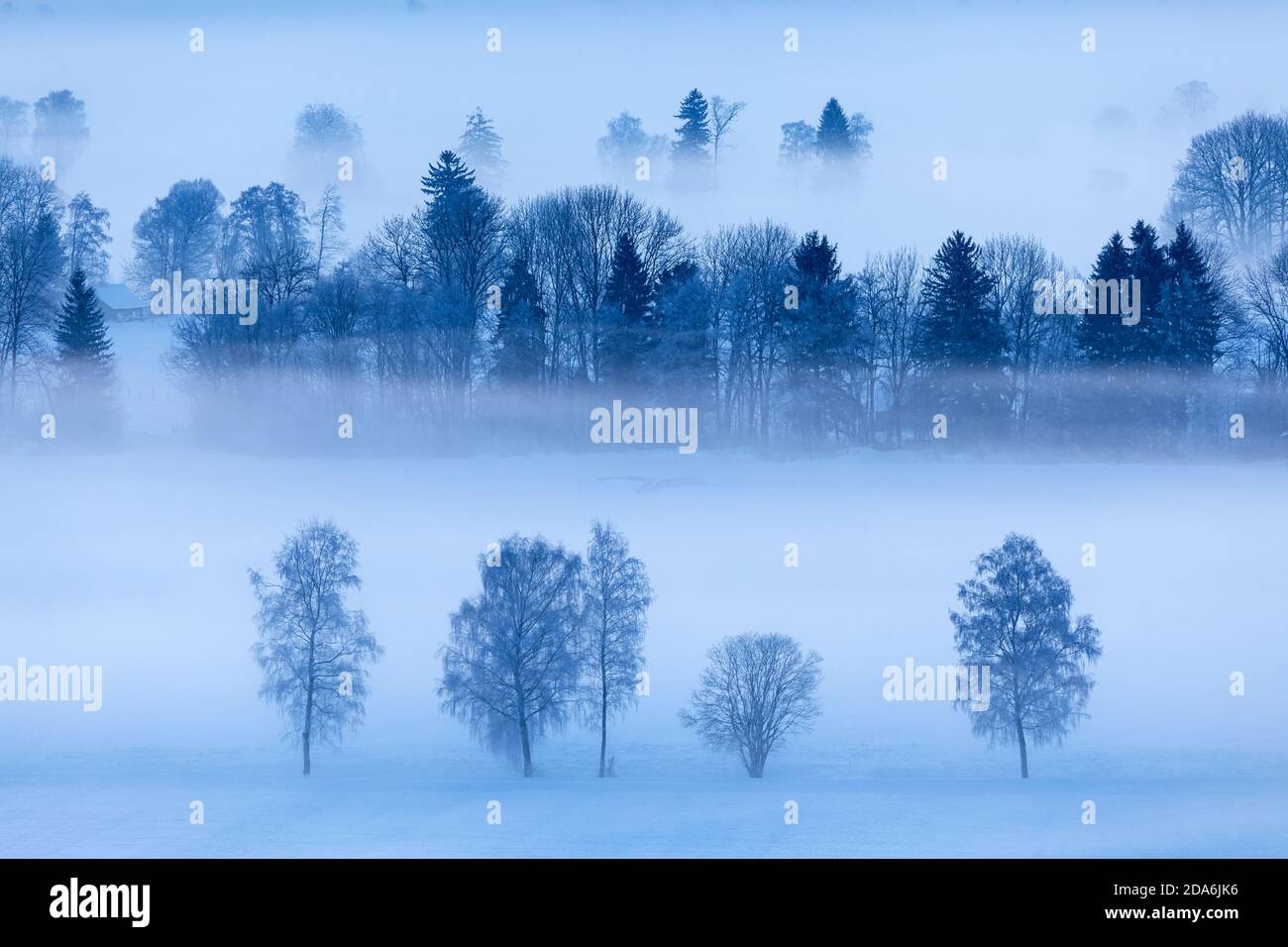 Geographie/Reisen, Deutschland, Bayern, Grossweil, Nebel über dem Kochelseemoos, Grossweil, Oberbayern, Additional-Rights-Clearance-Info-not-available Stockfoto