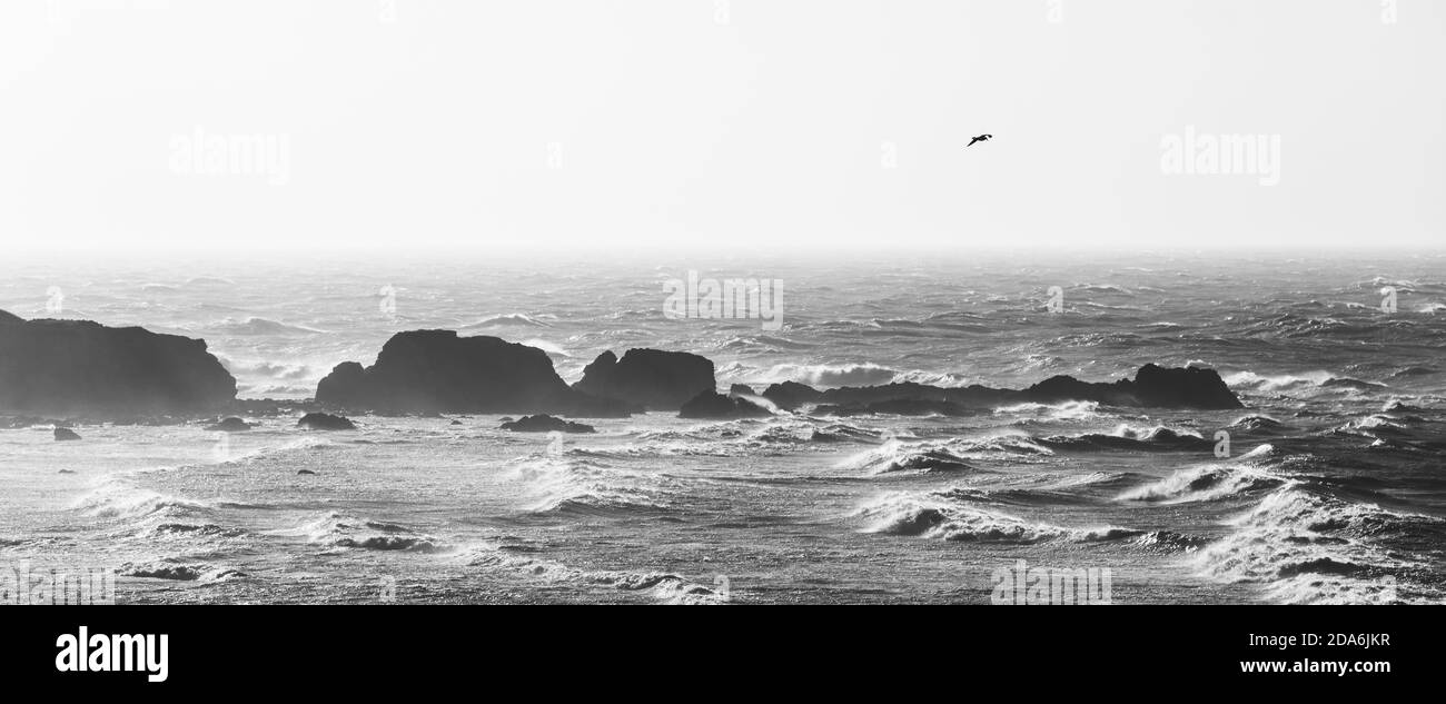 Panoramablick auf raues Meer in schwarz und weiß Stockfoto