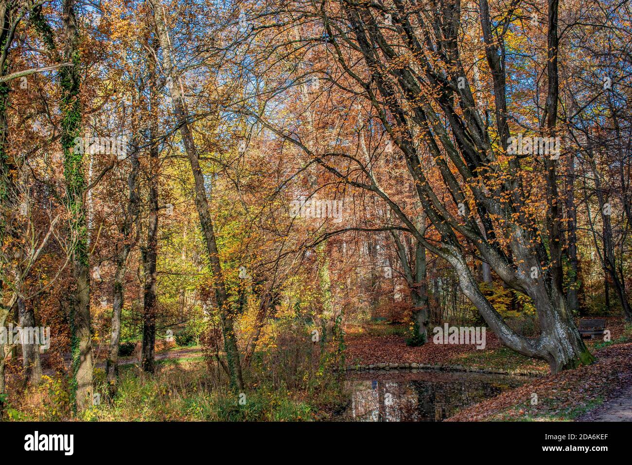 Coloribus -Fotos und -Bildmaterial in hoher Auflösung – Alamy
