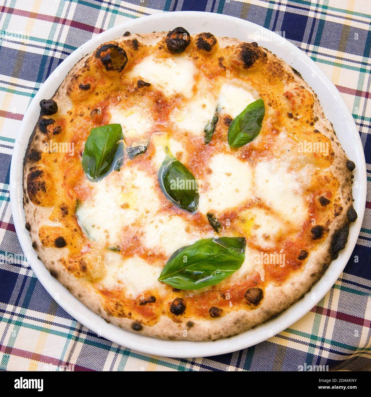 Eine echte italienische margherita Pizza in einem Gericht, Tomaten, Mozzarella und Basilikum, Blick von oben auf einer karierten Tischdecke Stockfoto