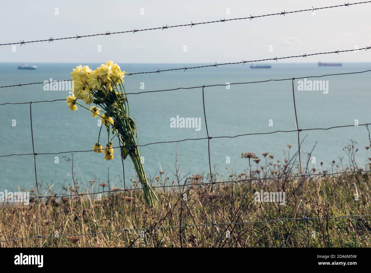 Blumen, die in Erinnerung an die Suizidopfer auf Culver Cliff, Isle of Wight, hinterlassen wurden Stockfoto