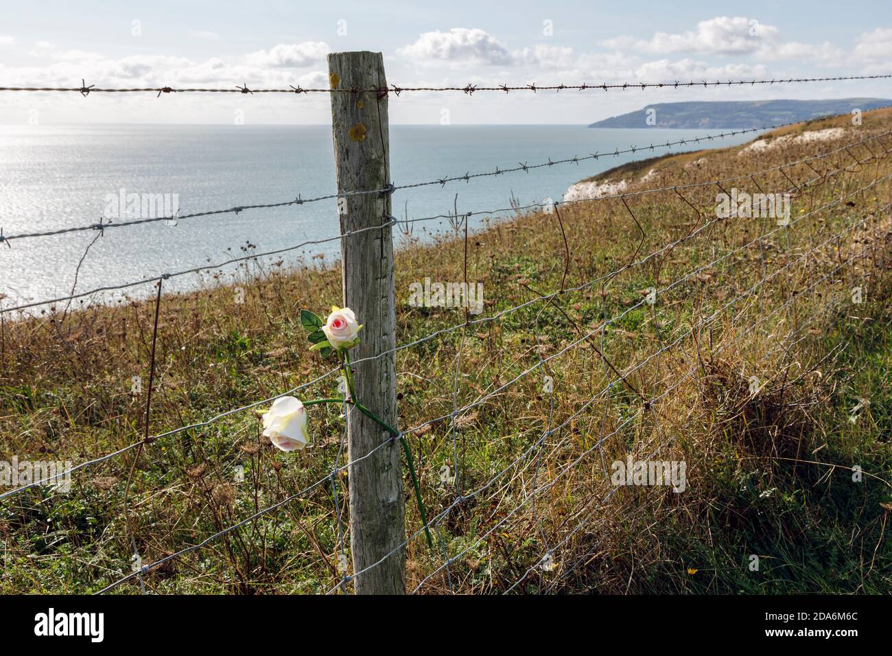 Blumen, die in Erinnerung an die Suizidopfer auf Culver Cliff, Isle of Wight, hinterlassen wurden Stockfoto