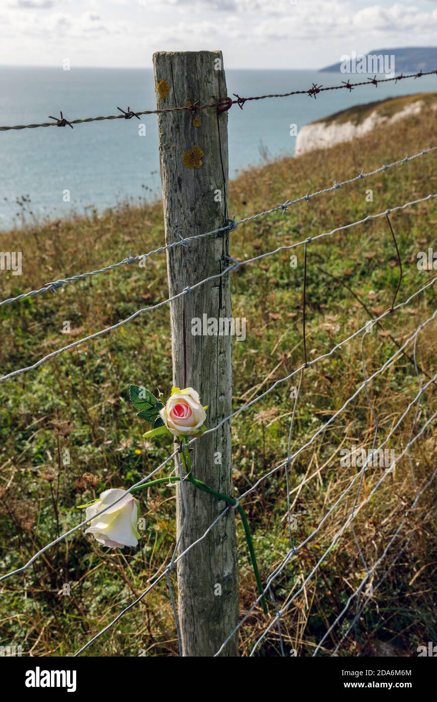 Blumen, die in Erinnerung an die Suizidopfer auf Culver Cliff, Isle of Wight, hinterlassen wurden Stockfoto
