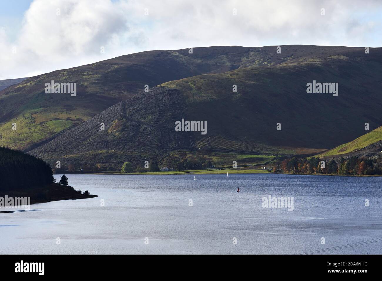 St. Mary's Loch mit Beiboot Segeln und die Kulisse der entwaldeten Hügel. Vergleichen Sie mit Bild-ID: B5CC10 für vorher und nachher. Stockfoto