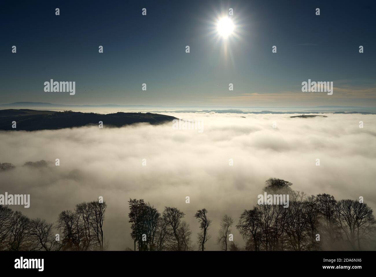 Blick vom Black Hill bei Earlston an einem nebligen Herbstmorgen in den Scottish Borders. Stockfoto