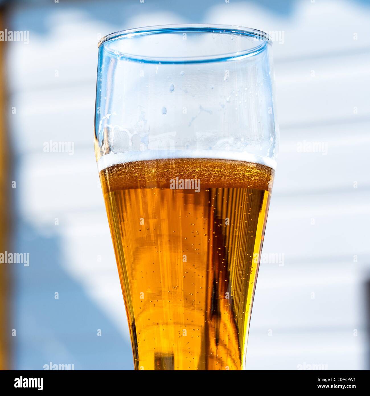 Helles Bier in einem Glas Weinglas bei einem Picknick auf der Natur Stockfoto