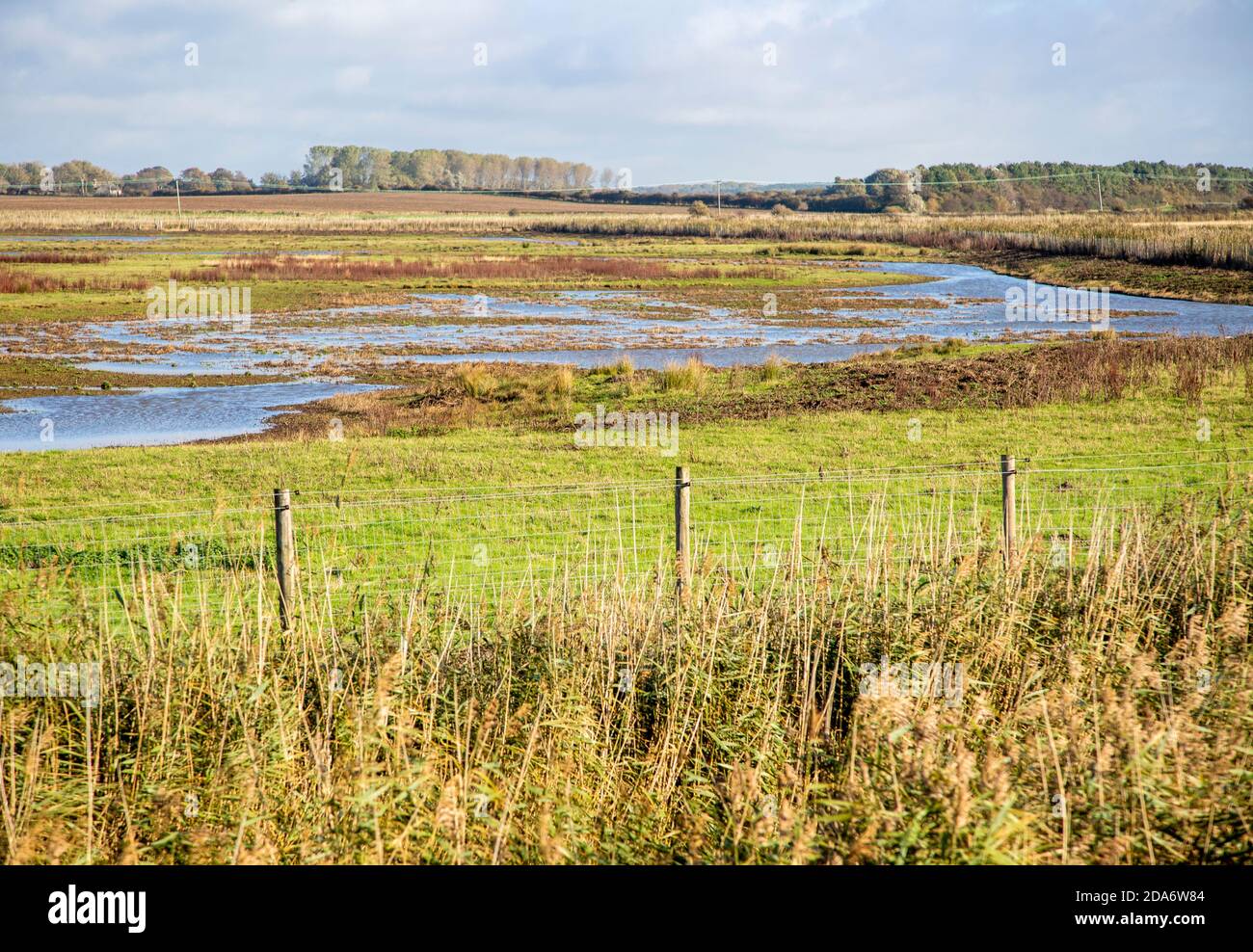 RSPB Vogelreservat Hollesley Marshes, Suffolk, England, UK Feuchtgebiet Sumpflandschaft Lebensraum Stockfoto