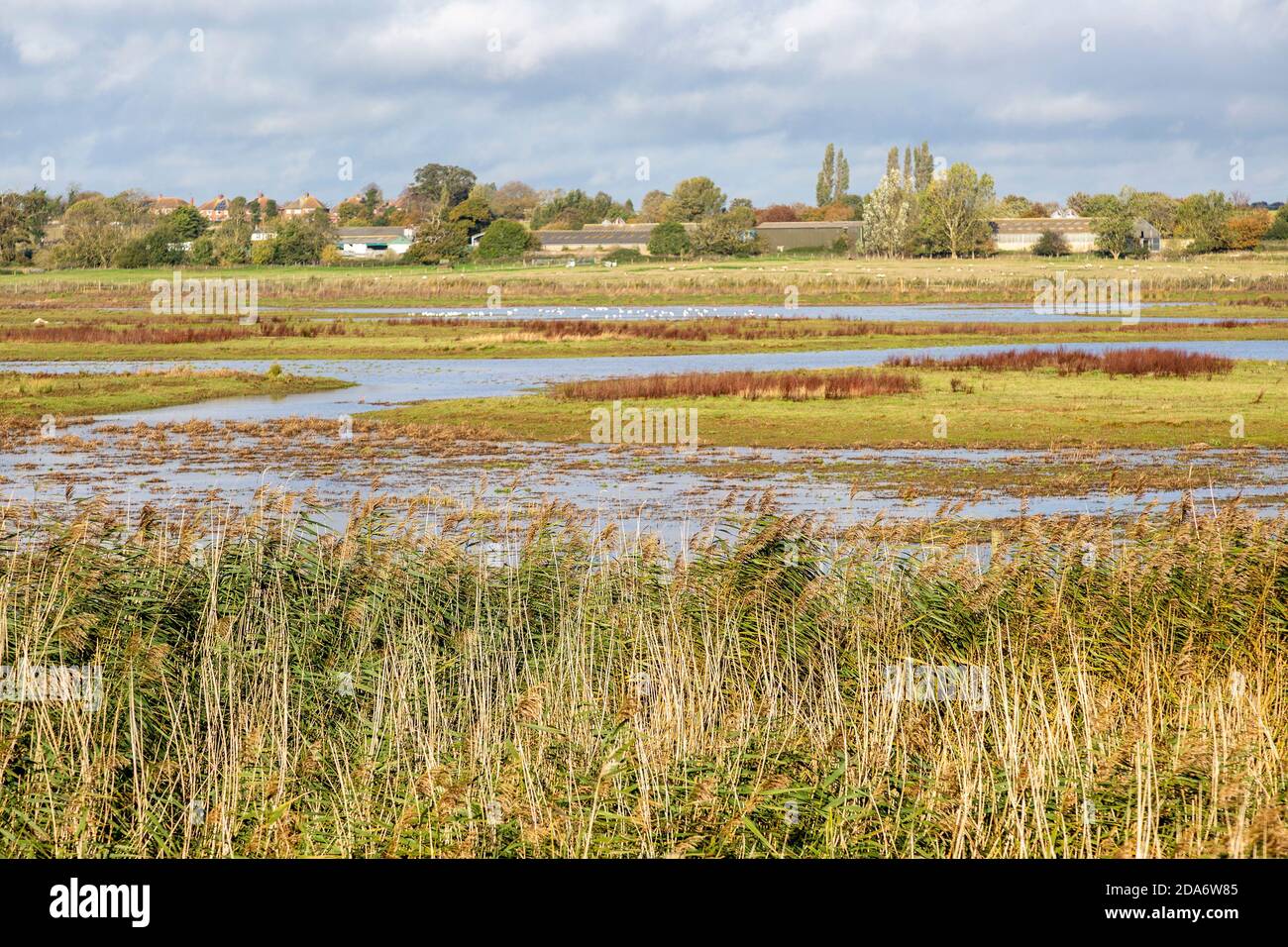 RSPB Vogelreservat Hollesley Marshes, Suffolk, England, UK Feuchtgebiet Sumpflandschaft Lebensraum Stockfoto