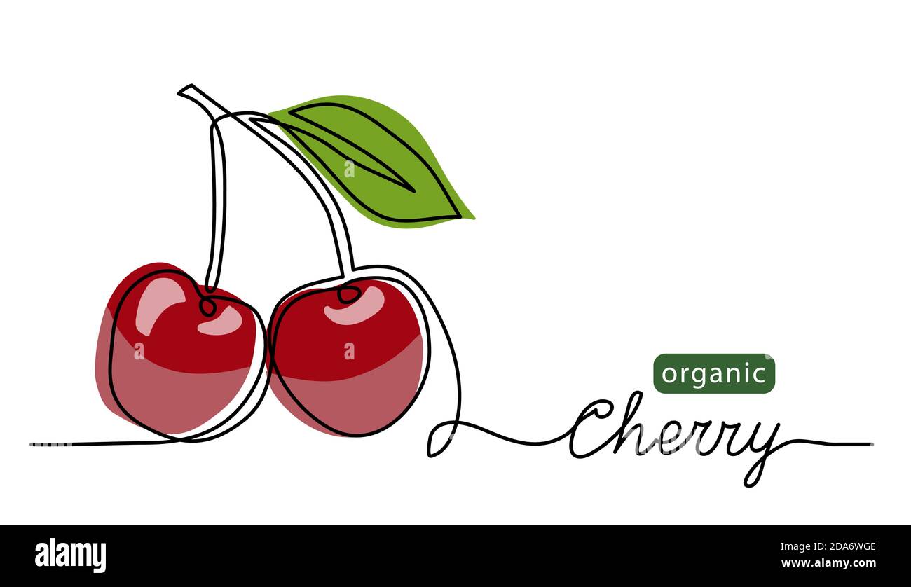 Cherry Vektorgrafik. Eine Linie Zeichnung Kunst Illustration mit Schriftzug Bio Kirsche Stock Vektor