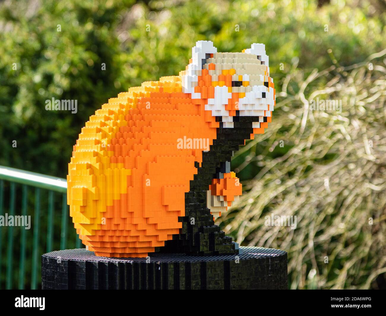 Red Panda Lego Modell als Teil des Lego Brick Trail im Chester Zoo, England Stockfoto