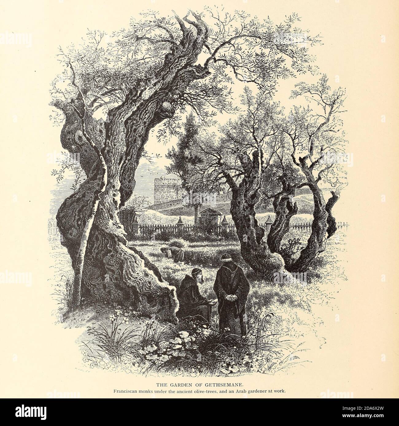 Der Garten der Gethsemane Franziskanermönche unter den alten Olivenbäumen. Ein arabischer Gärtner bei der Arbeit im Hintergrund. Aus dem Buch malerische Palästina, Sinai und Ägypten von Colonel Wilson, Charles William, Sir, 1836-1905. Erschienen in New York bei D. Appleton and Company 1881 mit Gravuren in Stahl und Holz nach Originalzeichnungen von Harry Fenn und J. D. Woodward Band 1 Stockfoto