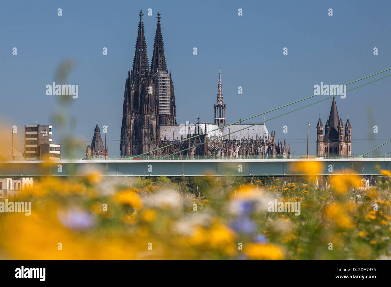 Geographie / Reisen, Deutschland, Nordrhein-Westfalen, Köln, Kölner Dom St. Peter und Maria mit Flo, Additional-Rights-Clearance-Info-not-available Stockfoto