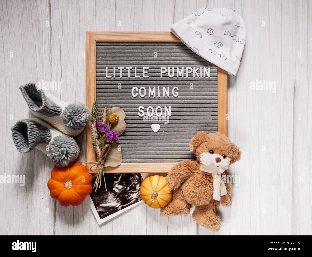 Kleiner Kürbis kommt bald Zeichen. Baby Ansage Zeichen auf einem rustikalen weißen Hintergrund. Demnächst erhältlich. Herbstschwangerschaft. Stockfoto