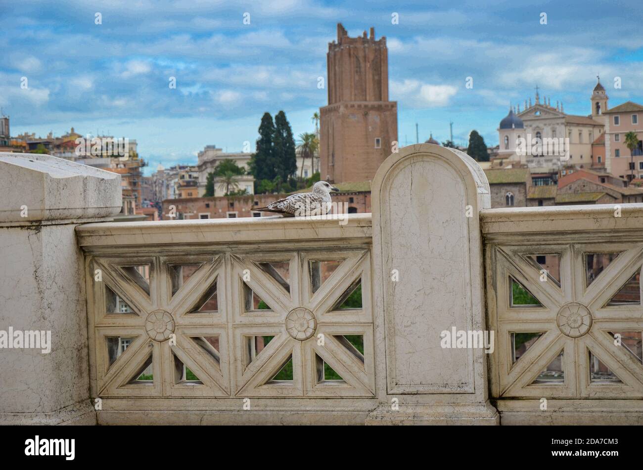 Möwe auf der Aussicht über dem historischen Zentrum von Rom. Möwe steht über den Dächern von Roma Stockfoto