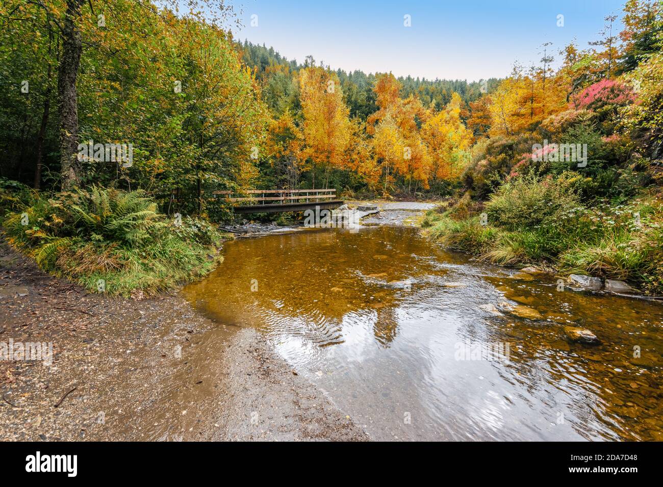 Naturreservat Landschaft mit Bach im Hohen Venn der Ardennen, Belgien. Stockfoto