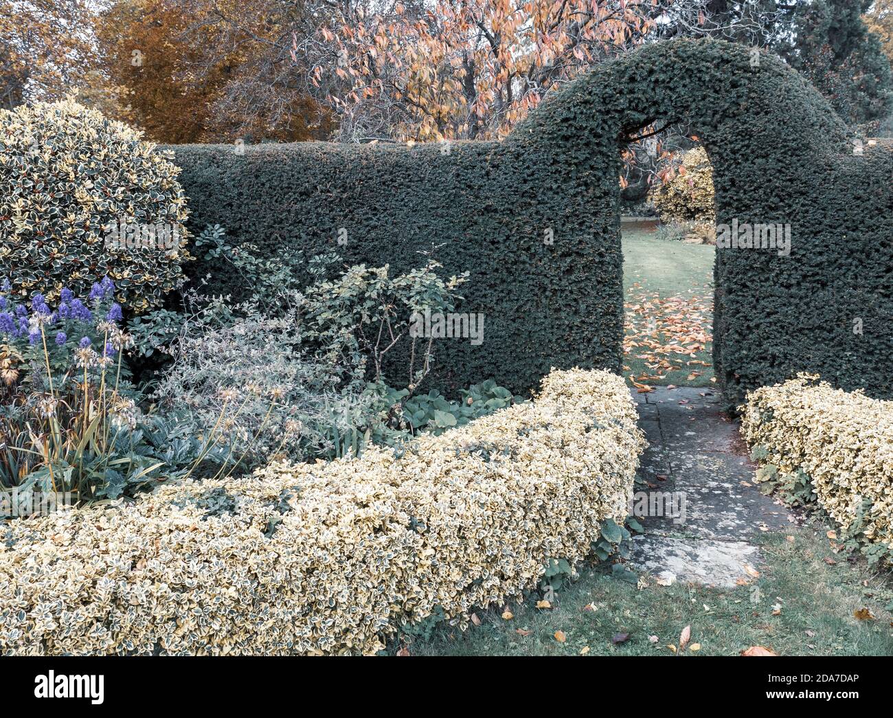 Garden Hedge and Flowers, Englefield House Gardens, Englefield, Berkshire, England, Großbritannien, GB. Stockfoto