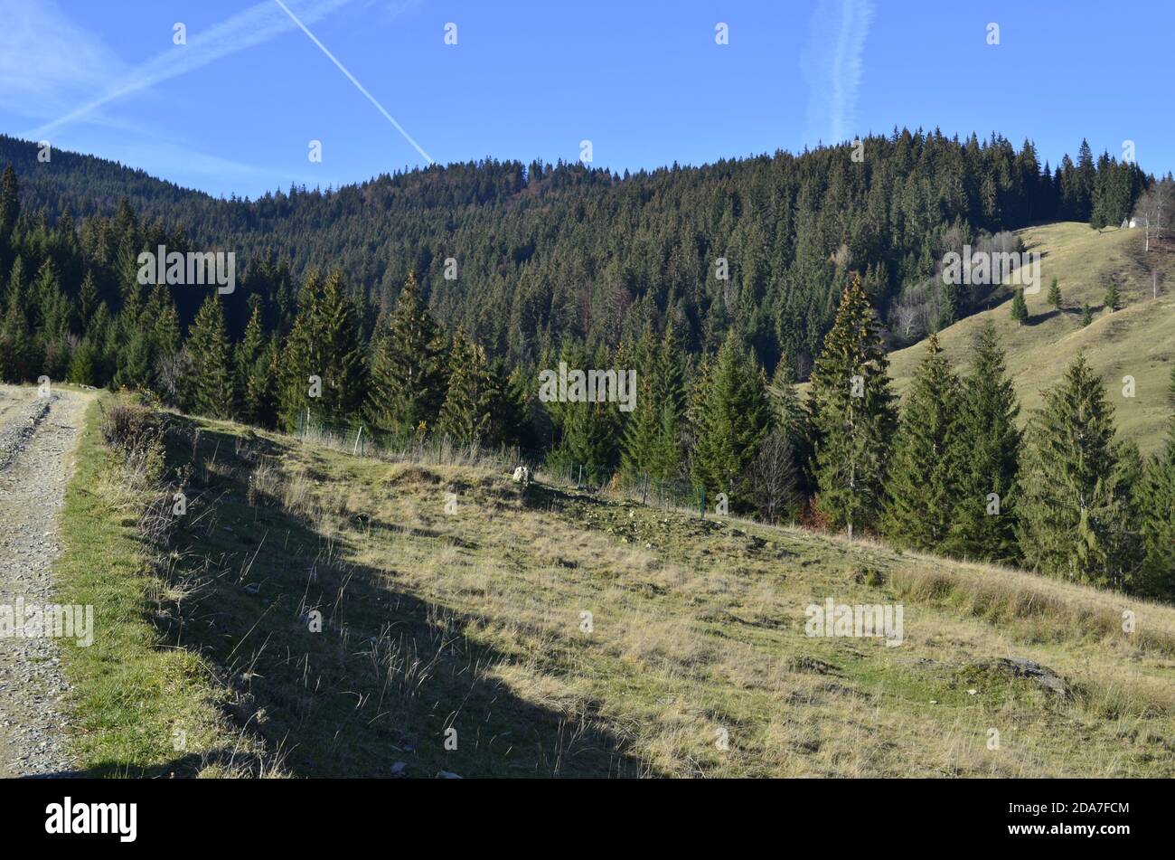 Schönheit der Natur Stockfoto