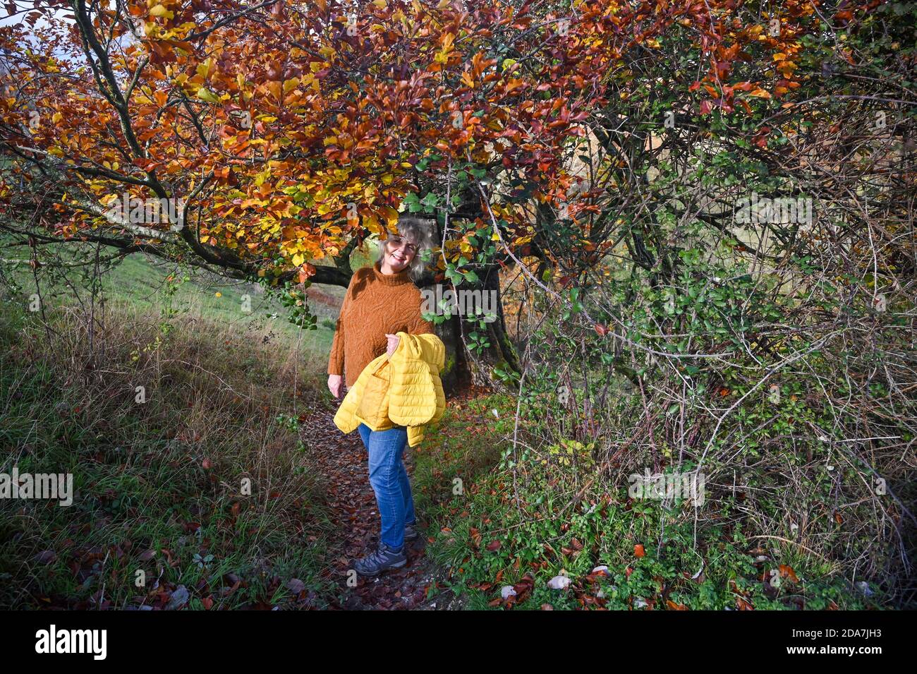 Arundel West Sussex UK 10. November - Wanderer genießen die warme Sonne und schöne Herbstfarben rund um Arundel Park in West Sussex heute als der Südosten in wärmeren als normale Temperaturen für die Zeit des Jahres baden . : Credit Simon Dack / Alamy Live News Stockfoto