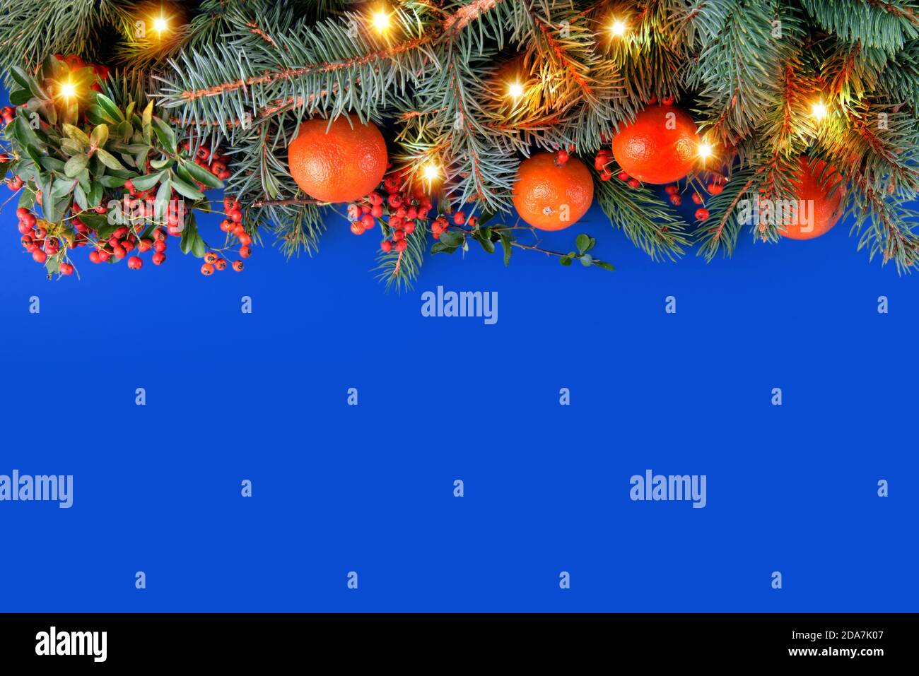 weihnachtlich blauer Hintergrund mit weihnachtlichen Dekorationen mit Tannenzweigen und Kiefernzweigen, Mandarinen, Metzgerbese und gelben Lichterketten Stockfoto