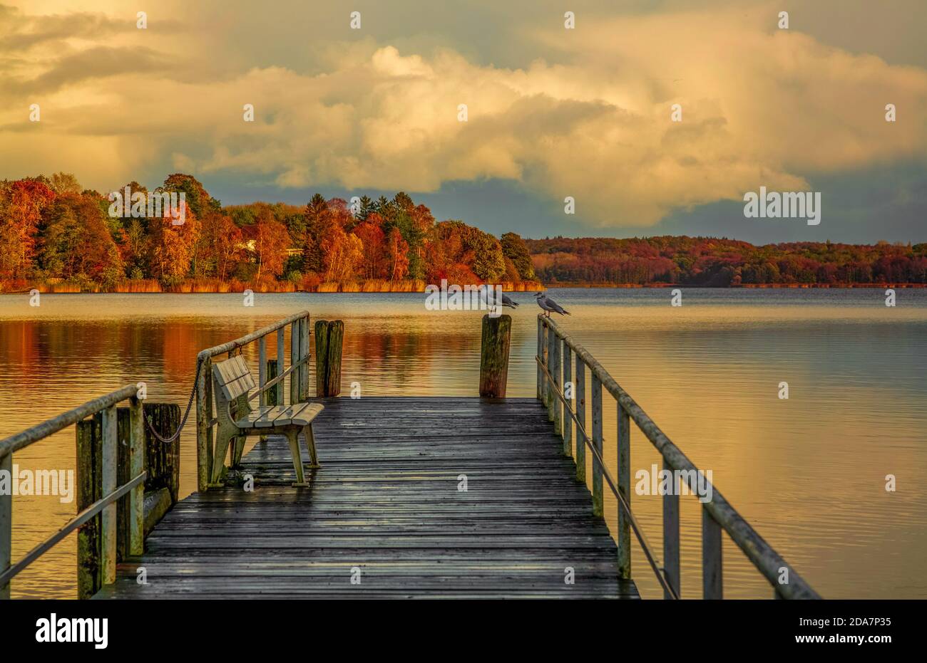 Die beste Zeit am Kellersee - die schönen Farben der Natur sind im Herbst einfach grandios. Stockfoto