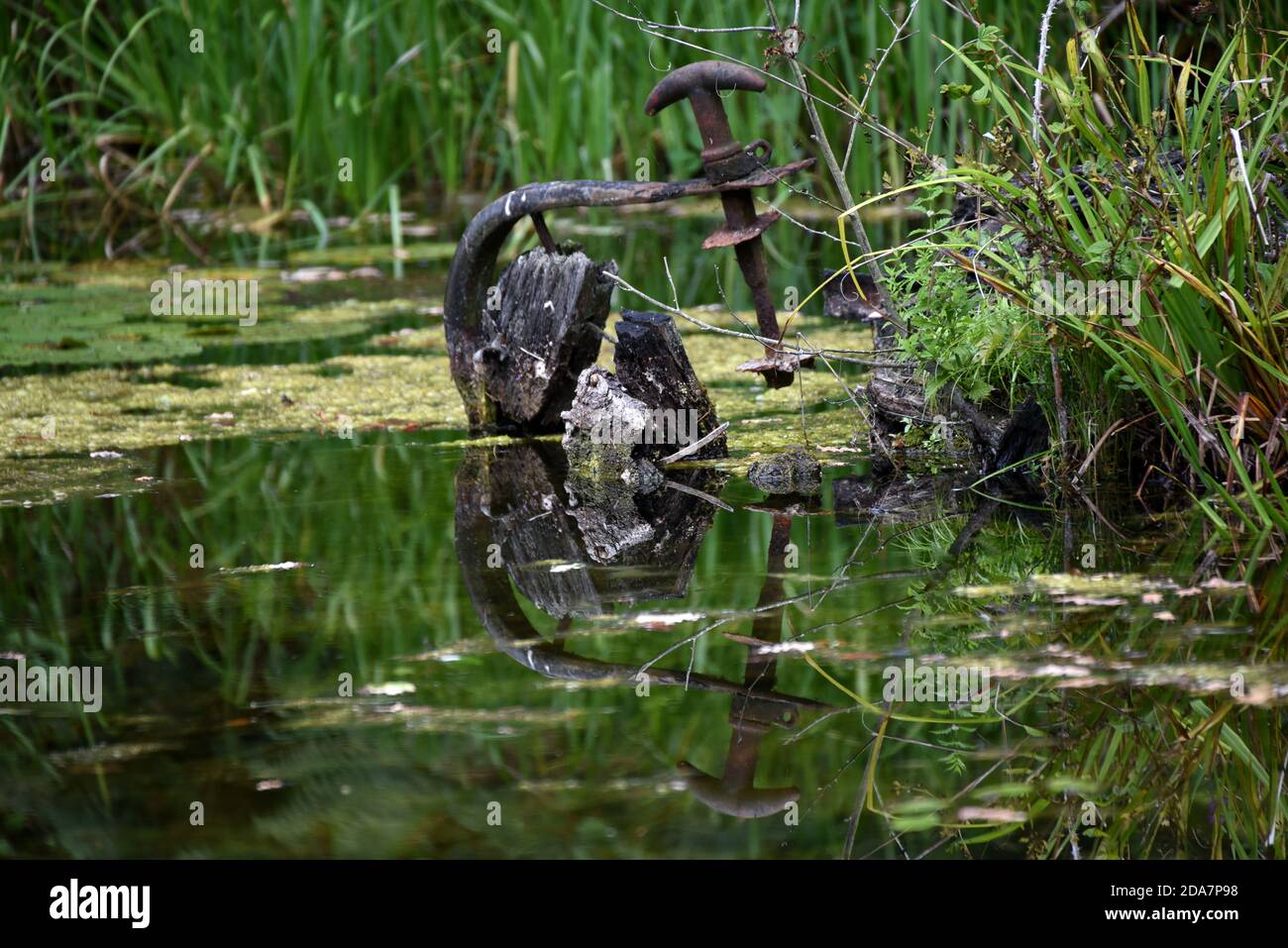 Die Überreste eines alten Bootes spiegeln sich in der Still Gewässer des schönen Basingstoke Canal in der Nähe von Deepcut in Surrey Stockfoto