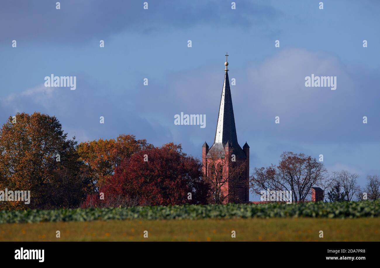 04. November 2020, Brandenburg, Perleberg/OT Groß Linde: Der Kirchturm in Groß Linde ist hinter einer Weide und neben herbstlich belaubten Bäumen zu sehen. Das Dorf wurde erstmals 1345 urkundlich erwähnt, als Groten Lynde im Besitz der Ritter von Quitzow war. Die aus der Ferne gut zu erkennenden Kirche wurde 1862 vom preußischen Baubeamten und Architekten Friedrich August Stüler erbaut, der den Turm mit einem quadratischen Grundriss gestaltete. Foto: Soeren Sache/dpa-Zentralbild/ZB Stockfoto