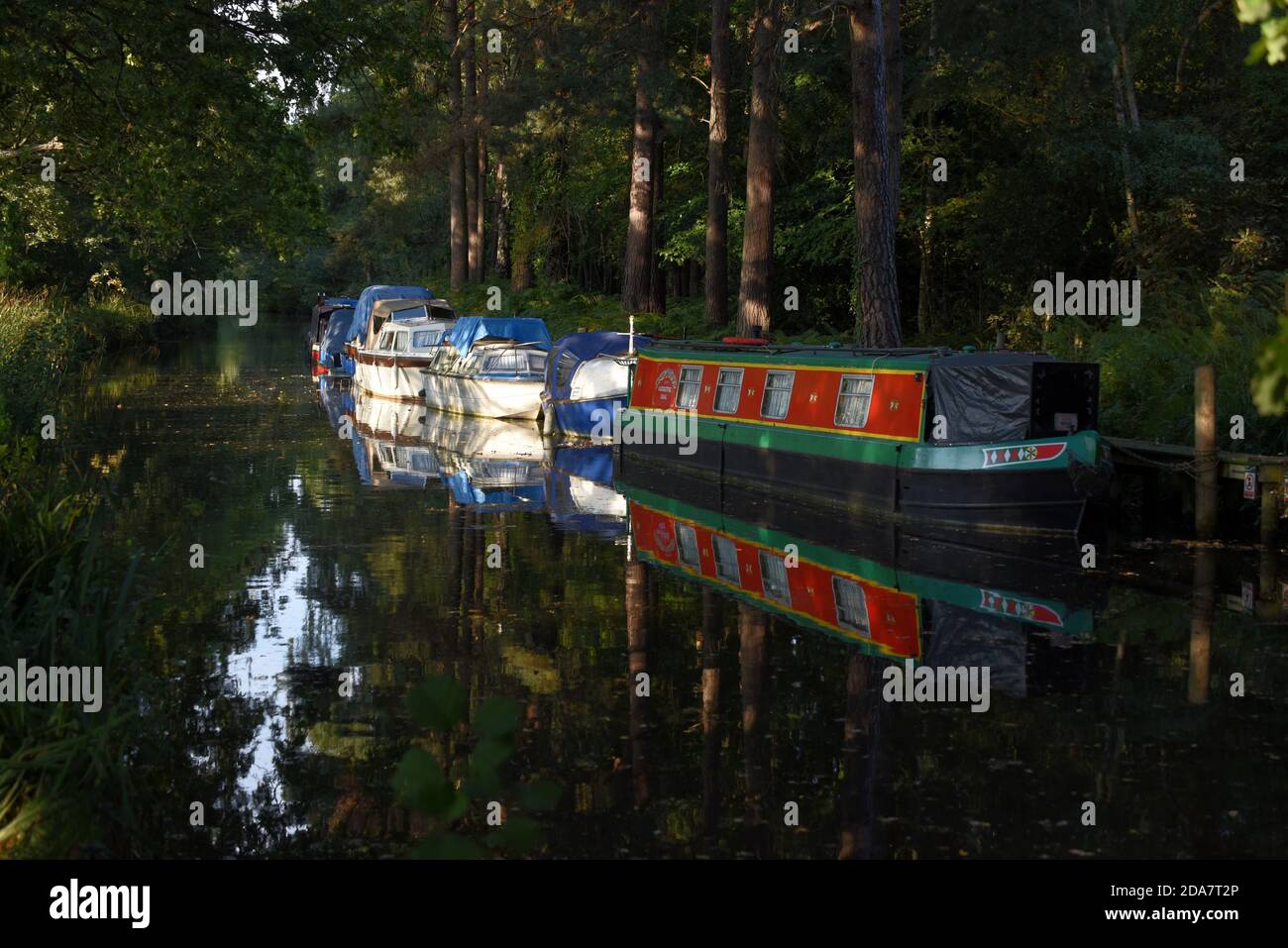 Kanalboote liegen am wunderschönen Basingstoke Canal bei Mytchett In Surrey Stockfoto