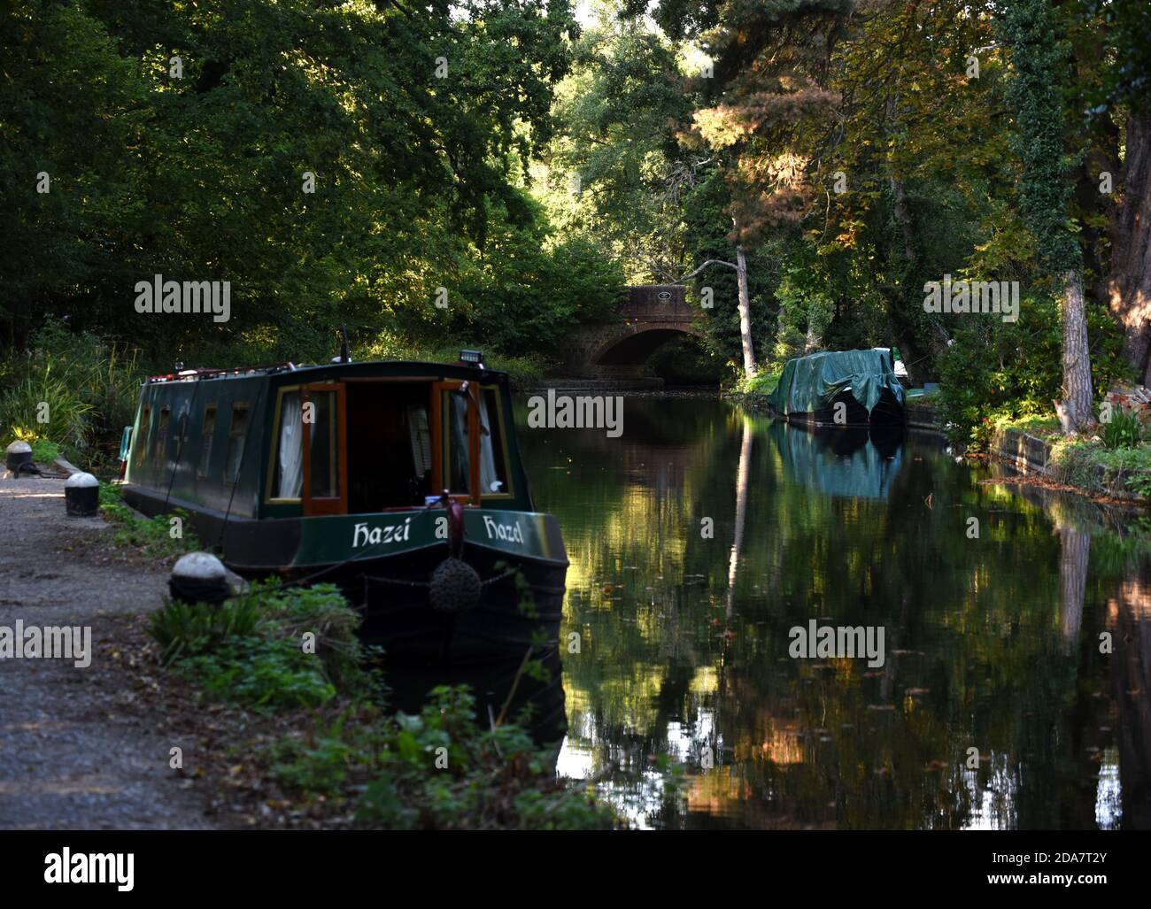 Urlauber genießen ihre Zeit auf einem Schmalboot entlang der schönen Basingstoke Canal in der Nähe von Frimley Green in Surrey Stockfoto