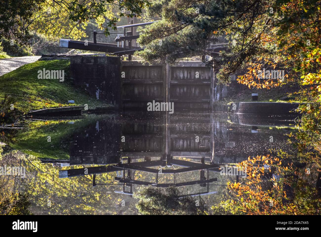 Ein Schleusentor spiegelte sich in den stillen Gewässern auf einem Schöner Herbsttag entlang des herrlichen Basingstoke Canal bei Pirbright In Surrey Stockfoto
