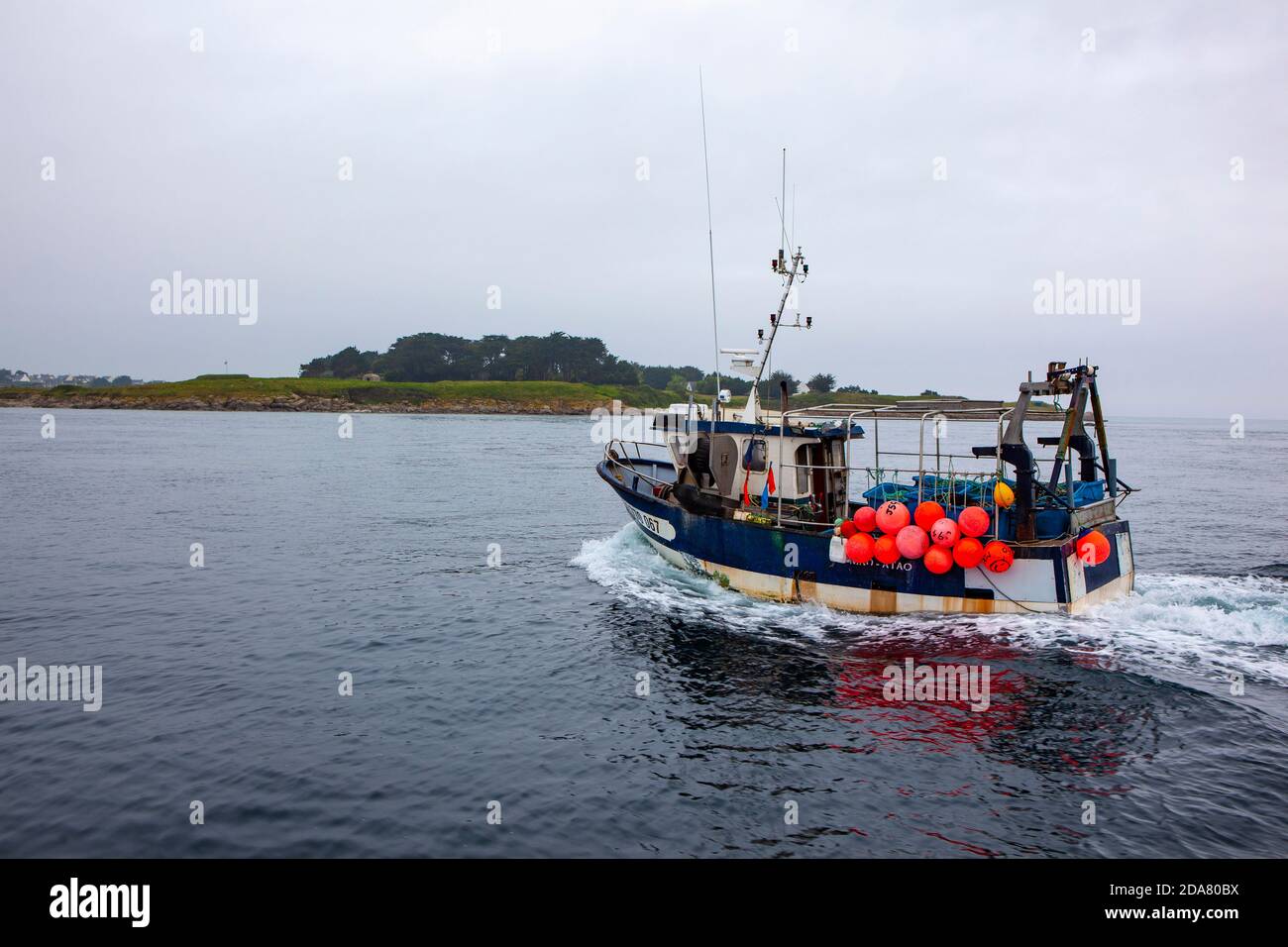 Fischerboot - Angeln nach Hummer und Krabben in der Nähe der Ile de Batz, Bretagne, Frankreich Stockfoto
