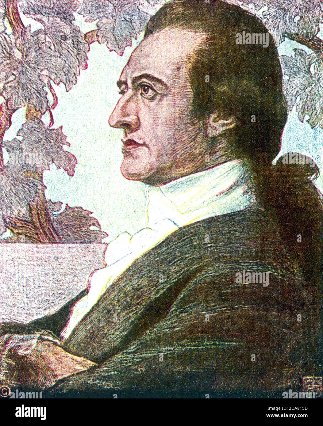 JOHANN WOLFGANG von GOETHE (1749-1832) Deutscher Schriftsteller, Dichter, Botaniker, Anatom in einer Illustration des 19. Jahrhunderts. Stockfoto