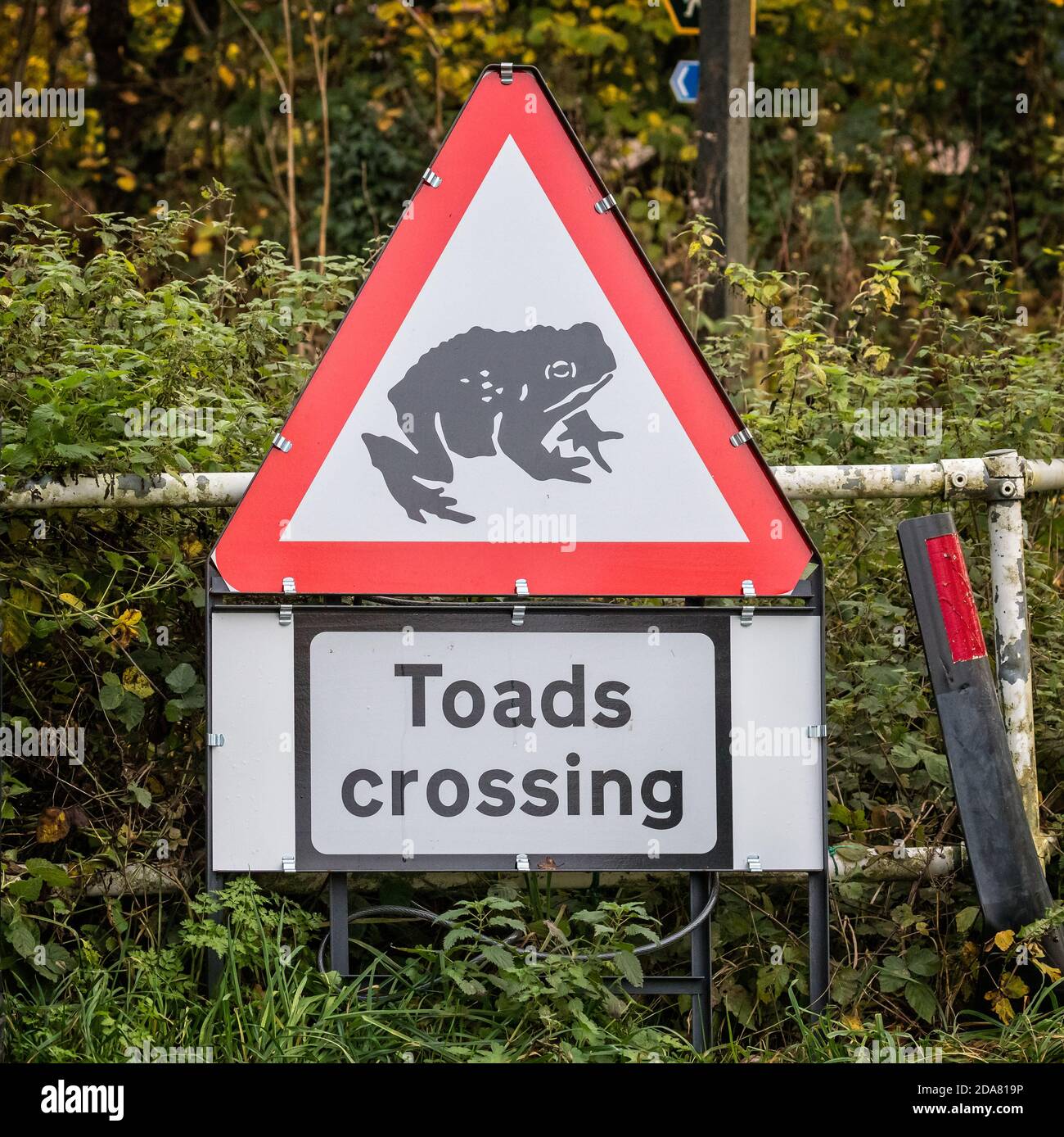 Straßenschild „Toads Crossing“ in der Landschaft von Wiltshire Stockfoto