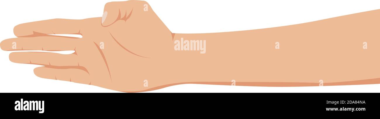 Mann Hand. Hand isoliert auf weißem Hintergrund. Vektorgrafik Stock Vektor