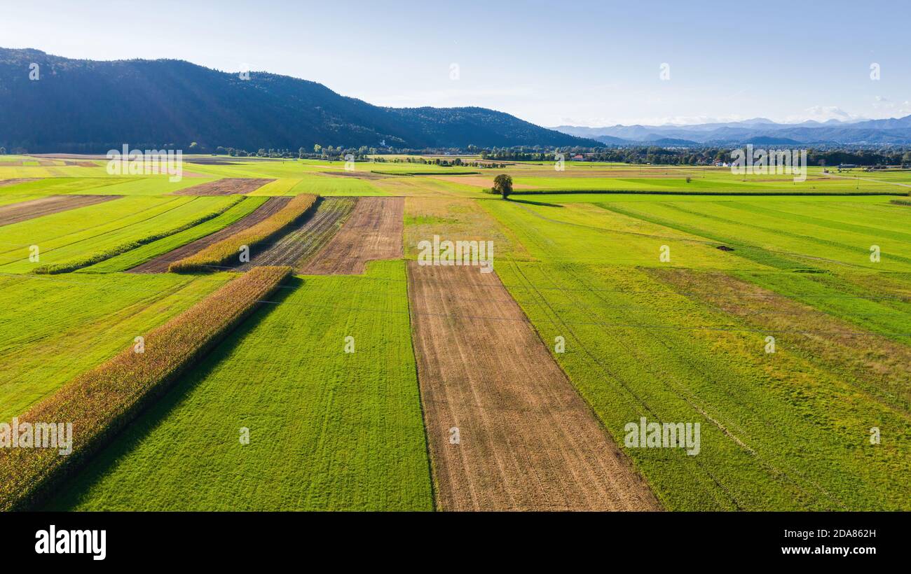 Luftaufnahme der landwirtschaftlichen Felder vom Himmel. Stockfoto