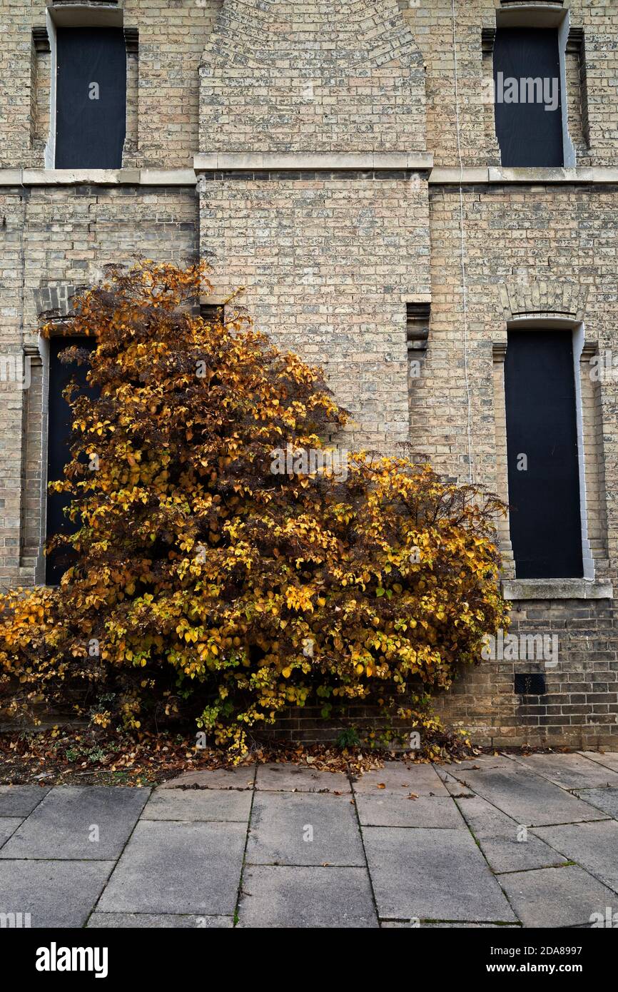 Ehemaliges Gebäude des gemeinderats Stockfoto