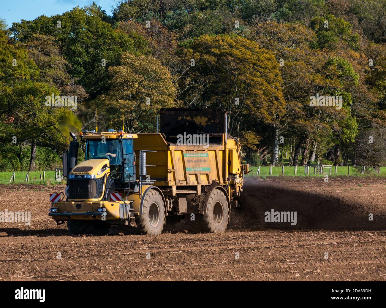 Nutzfahrzeug verteilt Gülle im Feld nach der Ernte, East Lothian, Schottland, Großbritannien Stockfoto