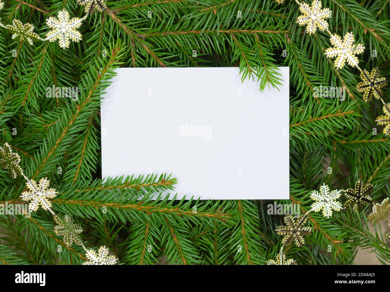 Weihnachtskarte auf einem Hintergrund von Tannenzweigen und einer Girlande aus goldenen Schneeflocken. Flach liegend. Nature New Year Konzept. Stockfoto