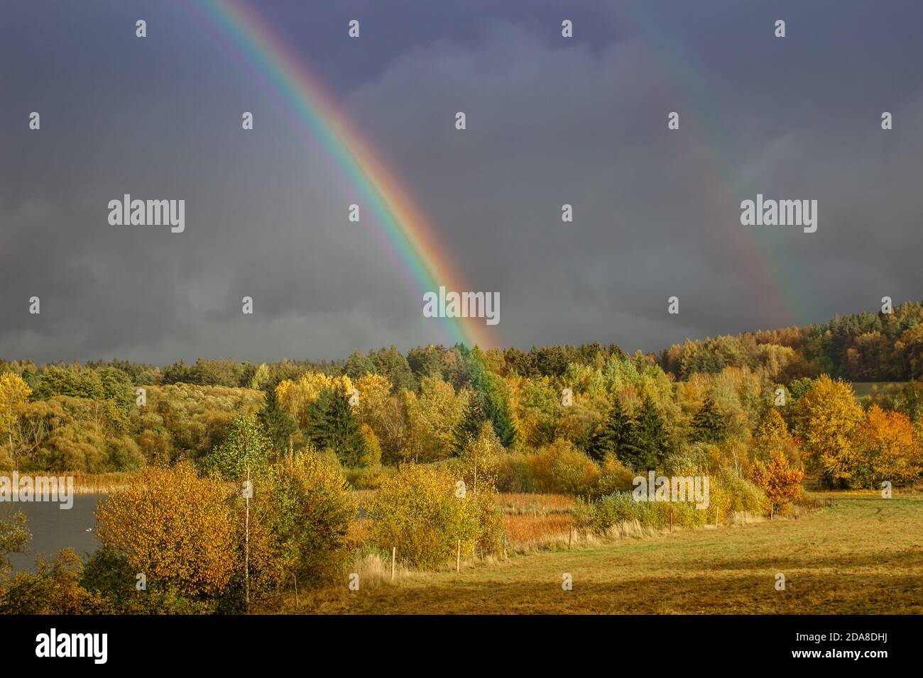 Doppelter Regenbogen auf dem Land. Schöne intensive Regenbogenfarben in regnerischen Tag.Wettervorhersage.Herbst ländliche Landschaft mit Regenbogen über dunkel dramatisch Stockfoto