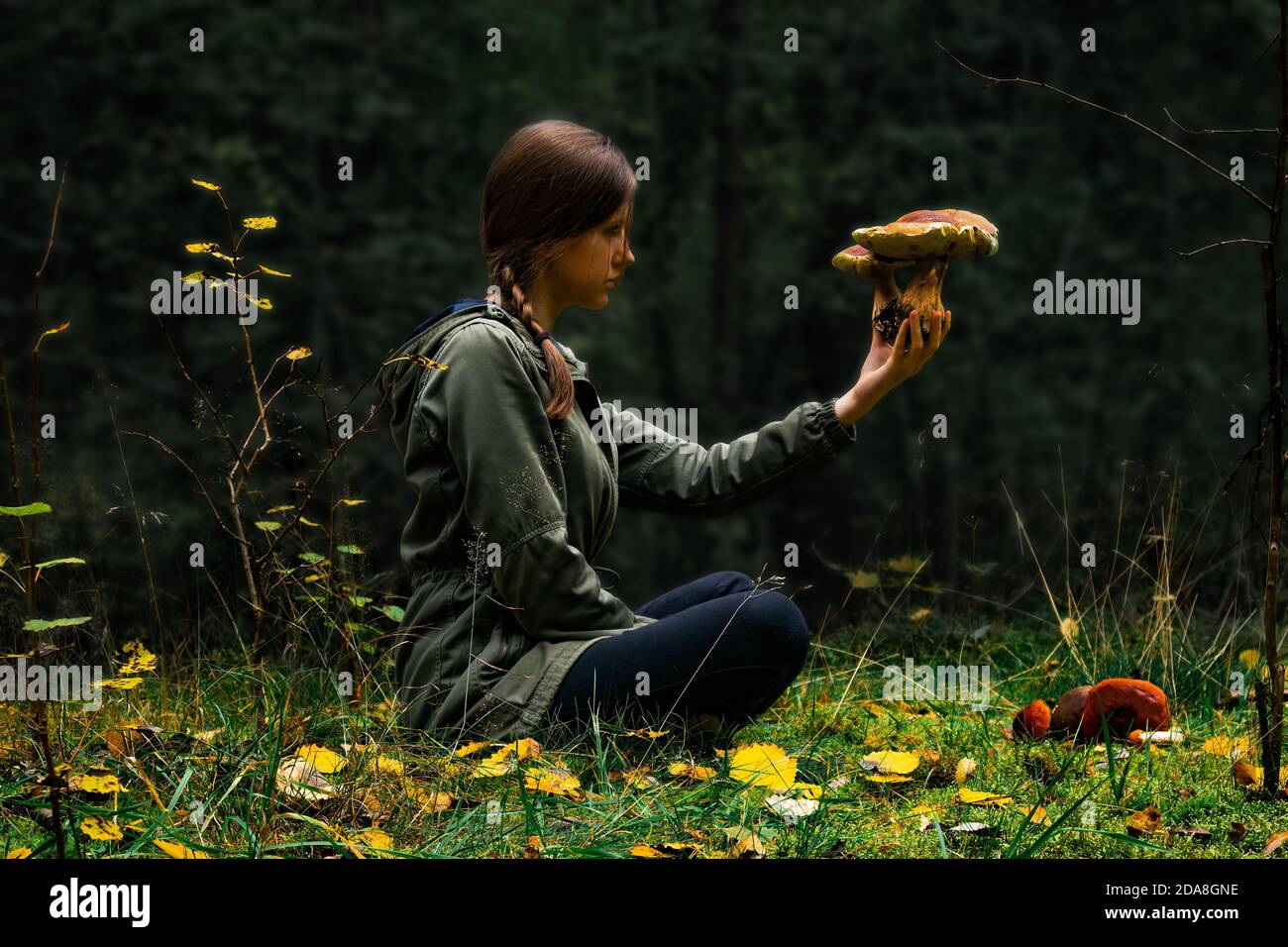 Eine Frau, die im Wald sitzt und die Wildpilze in der Hand hält und kontrolliert. Risiko einer Pilzvergiftung Konzept. Sichere Pilzjagd, Nahrungssuche, Pflücken. Stockfoto