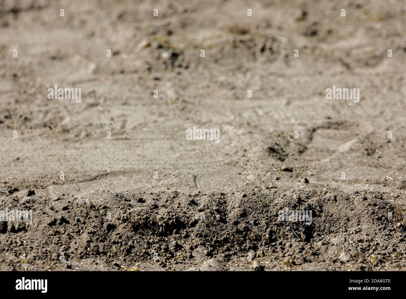 Low-Angle-Aufnahme einer Sand- und Kiesoberfläche, trockener Sand oder ähnlich einer Wüstenszene, heller Tageslichtzustand, der Staub oder Schmutz zeigt Stockfoto