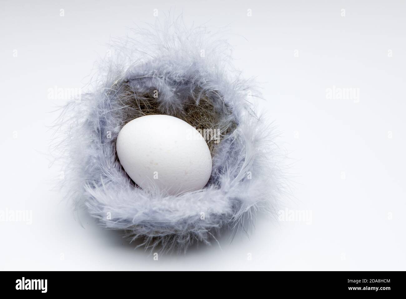 Draufsicht auf ein weißes Ei in einem osternest aus Gras Strohhalmen mit violetten Daunenfedern auf weißem und gleichmäßigem Hintergrund. Stockfoto