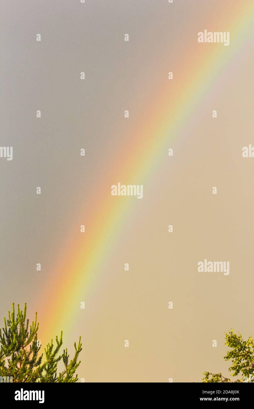 Charmanter vertikaler Regenbogen des hellen Abendhimmels Stockfoto