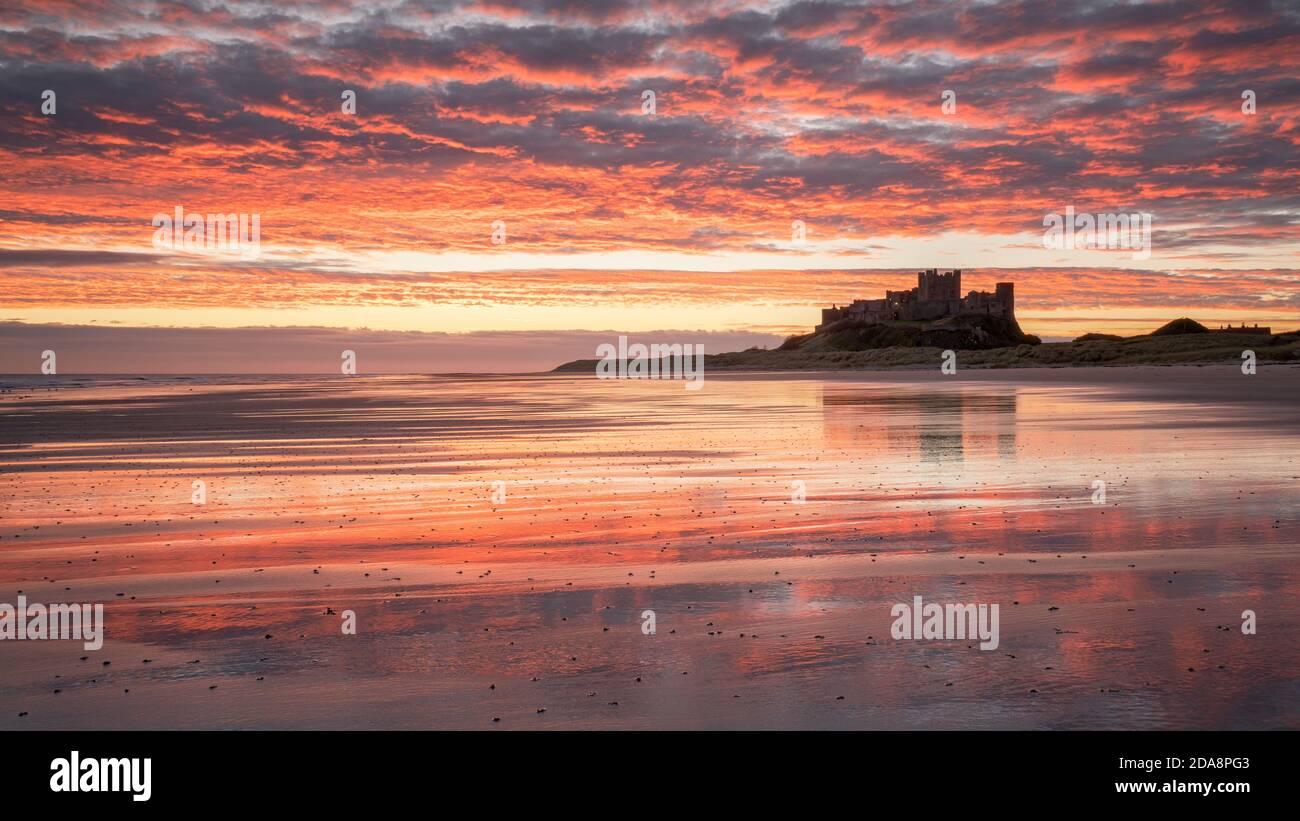 Ein lebhafter Sonnenaufgang spiegelt sich im nassen Sand am Bamburgh Beach wider, mit der silhouettierten Burg, die auf einem Felsvorsprung am Horizont thront. Stockfoto