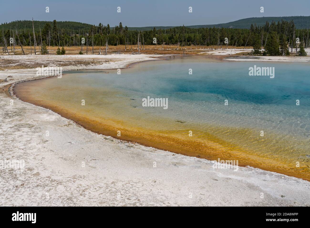 Bunte thermophile Bakterien leben im heißen Wasser des Sunset Lake im Black Sand Basin, Yellowstone National Park, Wyoming, USA. Stockfoto