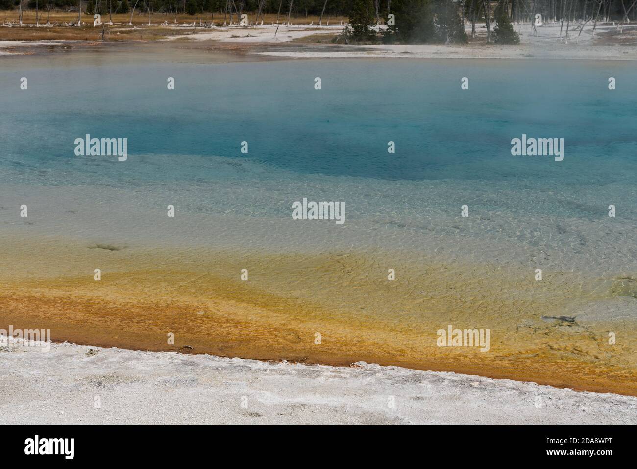 Bunte thermophile Bakterien leben im heißen Wasser des Sunset Lake im Black Sand Basin, Yellowstone National Park, Wyoming, USA. Stockfoto