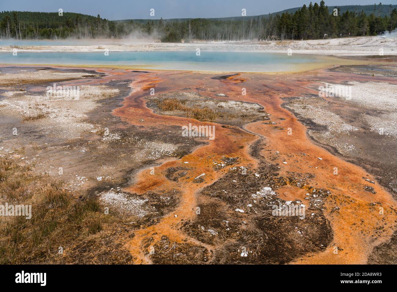 Heißes Wasser mit einer Matte aus bunten thermophilen Bakterien fließt Aus dem Regenbogenbecken steigt Dampf in den Schwarzen auf Sandbecken des Yellowstone National Par Stockfoto
